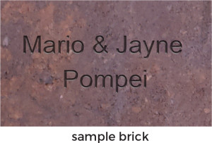 Sample Brick